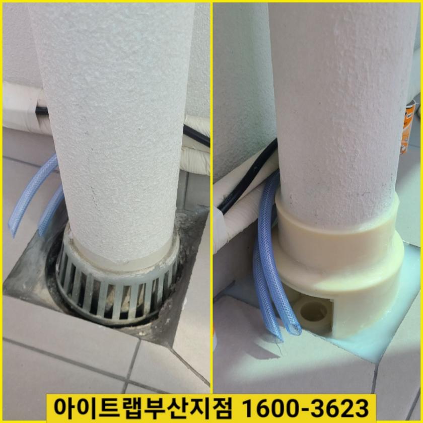 1693917086436.jpg