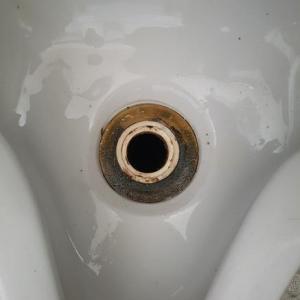 20180912_103407[1].jpg