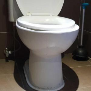 20181105_130216.jpg
