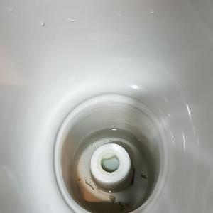 20181230_103240.jpg
