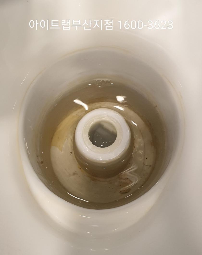 1553635066147.jpg