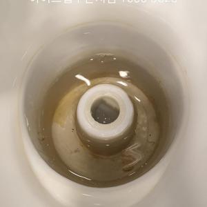 1553635066147.jpg
