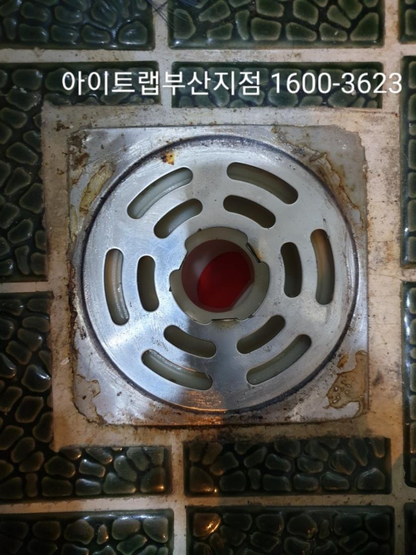 1561191244045.jpg